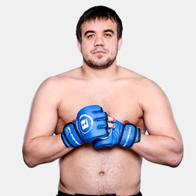 Ростислав Федин